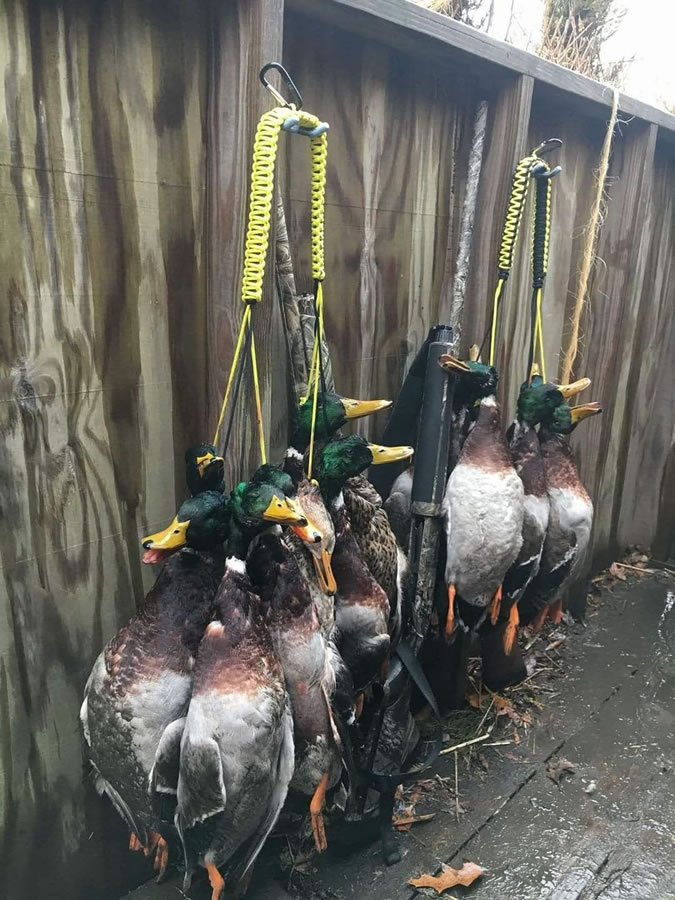 Maryland Waterfowl Hunting Photo Gallery